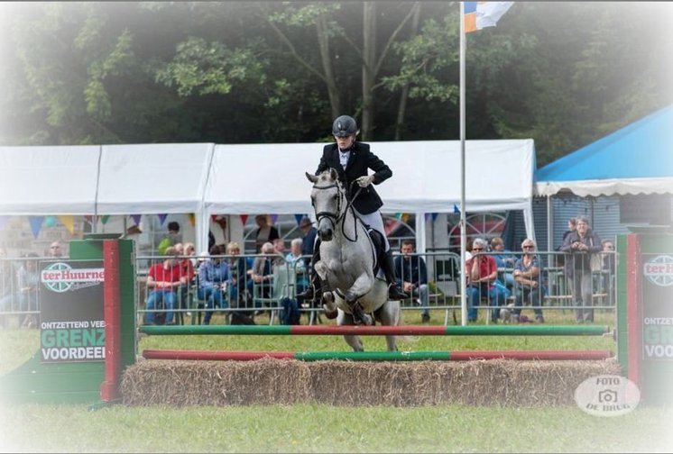 Aanmelden Dag van het Paard 2022